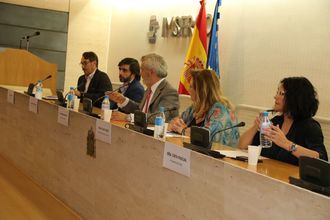 Mesa de Envejecimiento y Discapacidad del CEDD.