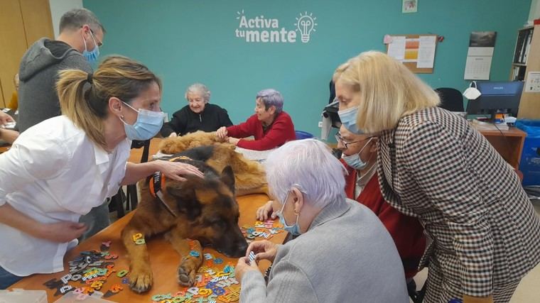 La consejera de Política Social de Madrid visita Amavir Ciudad Lineal para conocer su terapia con animales