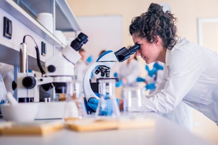 Minicerebros: una nueva herramienta en la investigación del Alzheimer