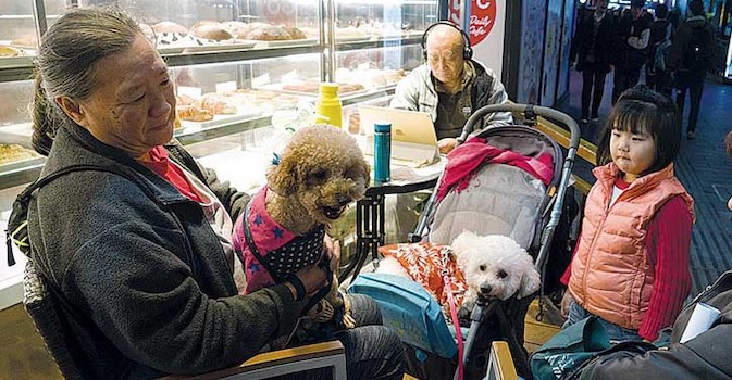 Mirando al exterior. Aumenta la esperanza de vida en Shanghai