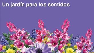 'Plantas y flores', un nuevo libro validado por la Residencia San Jerónimo para personas con demencia
