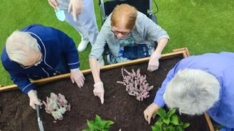 Residentes realizan actividad otoñal en el vivero de la residencia Bouco Coslada.