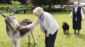 Mount Sackville: una residencia entre religiosas, estudiantes, animales y un burro andaluz