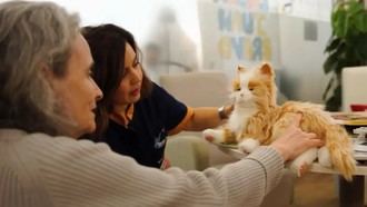 Emera recuerda que la roboterapia es una forma de cuidar a las personas mayores con tecnología emocional