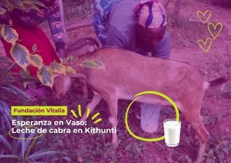 Fundación Vitalia transforma la vida de la comunidad en Kithunti al introducir la leche de cabra en el comedor escolar